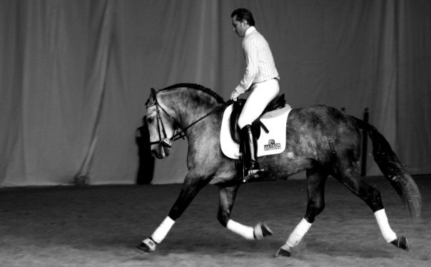 Jadraque SR - Caballo PRE